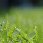 USCPAの資格は様々な事で役に立つ