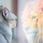 自己啓発を行う目的や方法とは？